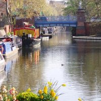 MyMaidaVale (@mymaidavale) 's Twitter Profile