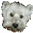 kenji555's profile image