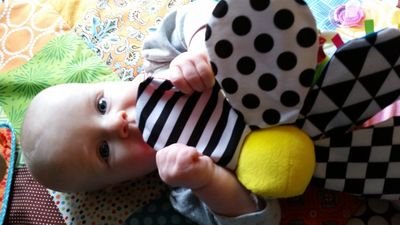 Sib_Osh's profile picture. 