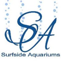 Surfside Aquariums(@SurfsideAqua) 's Twitter Profile Photo