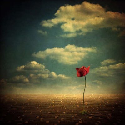 Emotions2Daily's profile picture. Vibe through the beauty of life with me