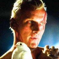 Rick Decard ⭐️⭐️⭐️⭐️ (@rick_decard) 's Twitter Profile Photo Rick Decard ⭐️⭐️⭐️⭐️ (@rick_decard) 's Twitter Profile Photo