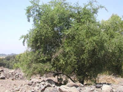 YaqSoql6pjBPDW5's profile picture. 