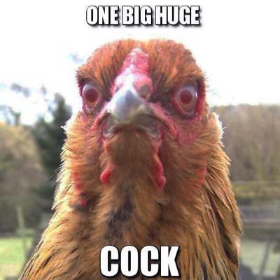 want your dick pick posted? Message it to us! Looking for a cock for our header picture!