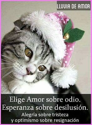 aurora_lop's profile picture. Hay que perder para ganar.