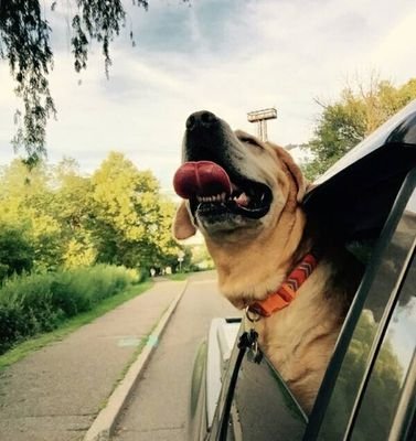 y50seriouz's profile picture. 