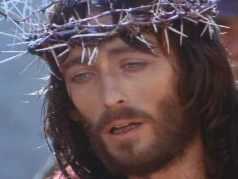 iuly_an's profile picture. 