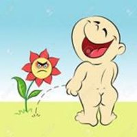 HillDull (@myhilldull) 's Twitter Profile