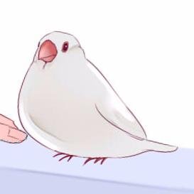 ののさんのプロフィール画像