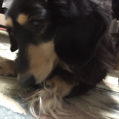 Xxcobu's profile picture. 