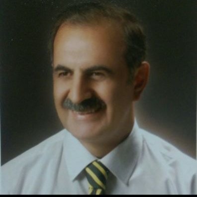 prof abdullah bayram abdullhbyrm