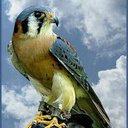 حسن محمد ابكر (@0557023872va) Twitter