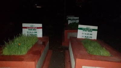 ogshaberlesme's profile picture. 