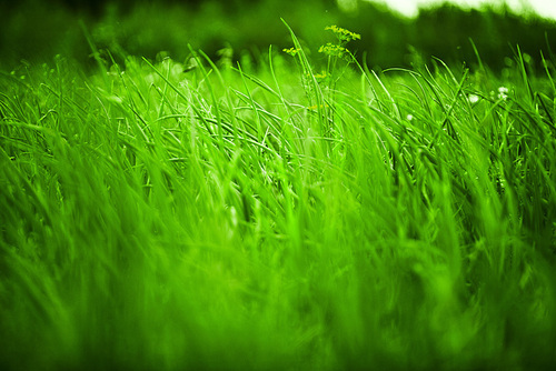 nikastuard's profile picture. 