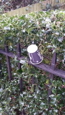 Shining a disapproving spotlight on littering. When someone abandons some rubbish, others think it's ok to add to it. It's not. Find a real bin or take it home!