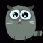 I`m web designer