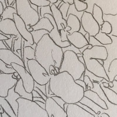 桃野さんのプロフィール画像