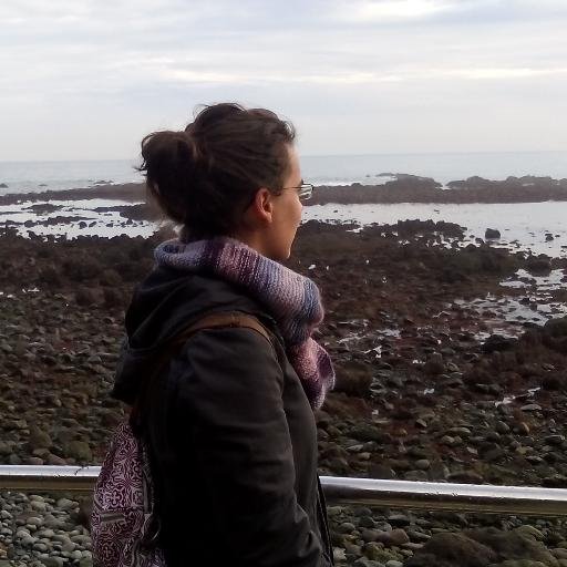 Researcher at @IxaGroup, @Hitz_zentroa working on Text Simplification, Readability Assessment & Lang. resources for Basque, and lecturer at UPV/EHU.