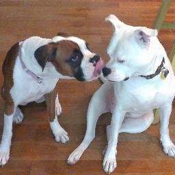 MrsRossLibrary's profile picture. 