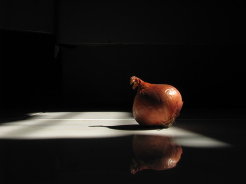 prath251's profile picture. 