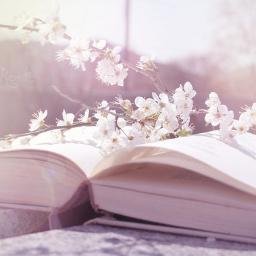 itisjustaword's profile picture. Books | Words | Writing | Reviews | Tweeted by @NatashaWhearity. For all things bookish: https://t.co/gs8dPknzEq