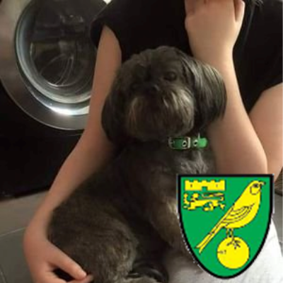 sticky_dogs's profile picture. Offering a bespoke pet care service tailored precisely to you and your animal's requirements.