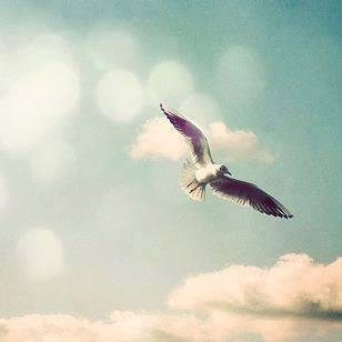 analaar2's profile picture. 