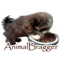 AnimalBragger(@AnimalBragger) 's Twitter Profile Photo