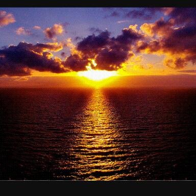 manuel08334435's profile picture. 