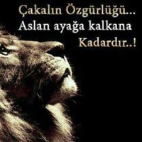 osmanlı torunu (@demetdamlaaslan) 's Twitter Profile