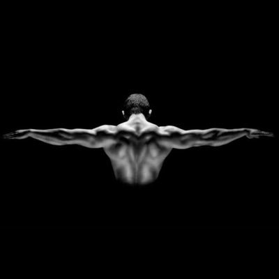 DonSmithX's profile picture. All the Breast, all the time !
