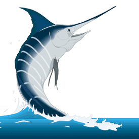 Fish_Now's profile picture. The premier directory for finding fishing guides, outfitters, and boat captains to help you find the fishing trip of your dreams!