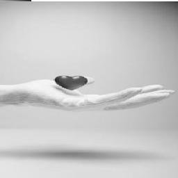 ElettrAlex's profile picture. 🏘️🤍🗺️💰🚙🪩🌟