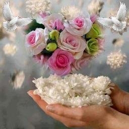 vfTd60W37vEXu6F's profile picture. 