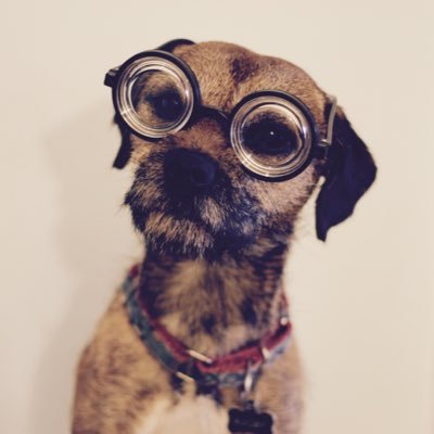 wonderpups's profile picture. Enthusiastic behavior nerd, training maverick and passionate teacher.