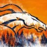 suekopinski's profile picture. Passionate about life! I have always been a Broncos fan. Nana to two handsome grandsons.