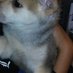 Poseidon Barlow (@poseidonanimalp) Twitter profile photo Poseidon Barlow (@poseidonanimalp) Twitter profile photo