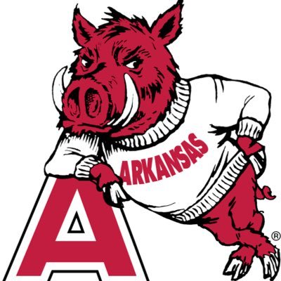 Hog Fan Forever! #WPS | Dallas Cowboys |Amature Weather Geek and Storm Spotter Watching Central Arkansas! #arwx