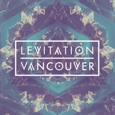 LevitationVan's profile picture. 