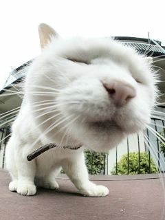 乗り物が大好きな田舎者。