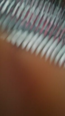 fELICCASMITH's profile picture. I am a mom
of a talented girl