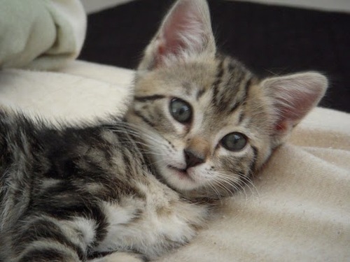 matthewf01's profile picture. Foodie, music fan, tech enthusiast