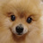 pecotama's profile image