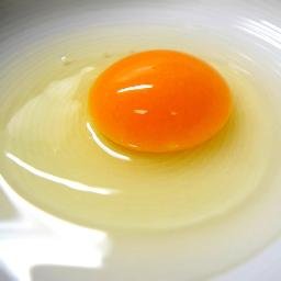 血流を良くするサプリメント Ketsuryuusapuri Twitter 血流を良くするサプリメント Ketsuryuusapuri Twitter
