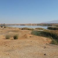 ادوية بيطرية للهجن (@sdh_vet) Twitter profile photo