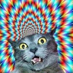 _KittyMeowMeow_'s profile picture. idk man