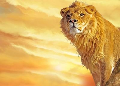 NoelCadores's profile picture. Members Church of God International
