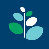 dorset cereals (@dorsetcereals) 's Twitter Profile