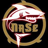 Natural Selection (@nase_csgo) 's Twitter Profile