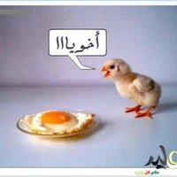 د. بط (@toktorhilaly) Twitter profile photo